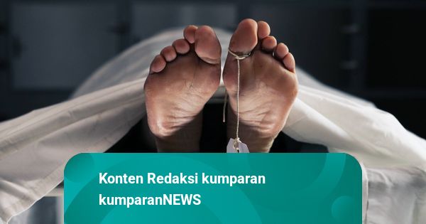 Lansia di Sleman Tewas Tertimpa Pohon Saat Hujan Disertai Angin Kencang