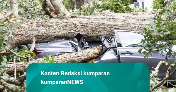 Mobil Ringsek Tertimpa Pohon Tumbang di Pondok Indah Jaksel