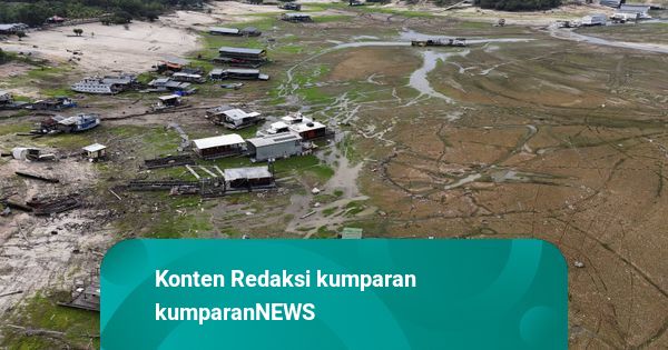 Foto: Sungai di Amazon Alami Kekeringan Terparah dalam Lebih dari 120 Tahun