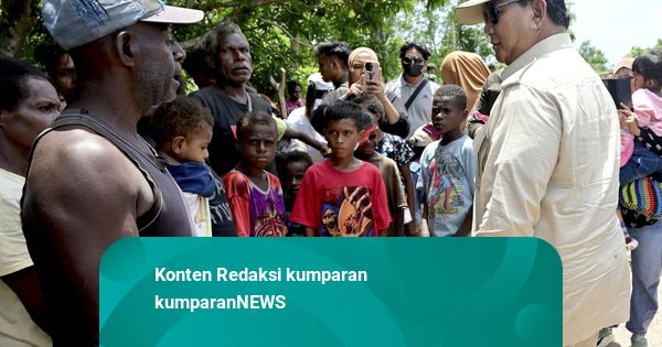Anggota DPR Gerindra Ungkap Atensi Prabowo di Papua Barat, Selatan dan Kaltara