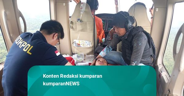 Polisi di Papua Diserang Lebah hingga Kritis saat Cari Iptu Tomi di Hutan Papua