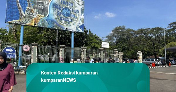 Mulai 11 Oktober, Ragunan Buka hingga Pukul 22.00 WIB Tiap Malam Minggu