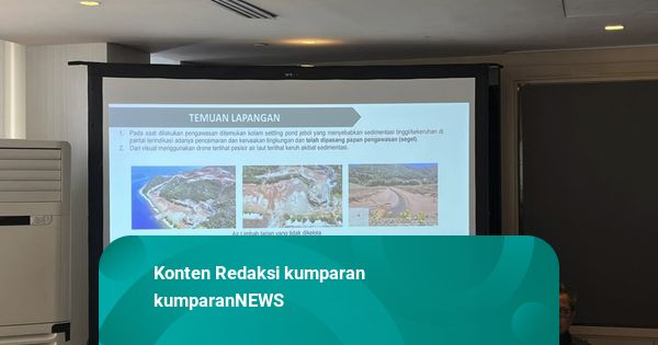 Menteri LH: Sedimen Tambang Nikel di Raja Ampat Menutupi Terumbu Karang