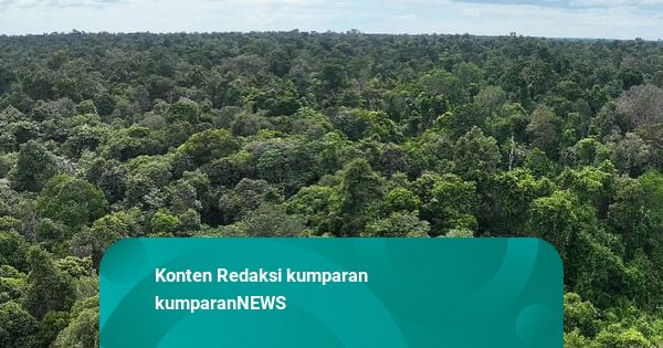 Duduk Perkara Rencana Relokasi Warga dari Taman Nasional Tesso Nilo