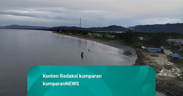 Tsunami Sudah Tiba di Indonesia: Ketinggian di Jayapura 80 Cm, Sarmi 20 Cm