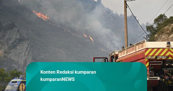 Foto: yang Tersisa dari Kebakaran Hutan Musim Panas di Prancis
