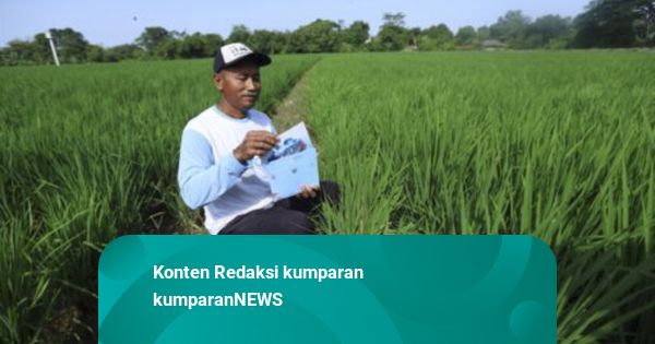 Prabowo Undang Nelayan hingga Petani Ikut Upacara HUT ke-80 RI di Istana