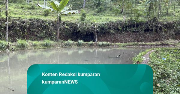 Bocah Raya Meninggal Tubuh Penuh Cacing: Rumah Tak Ada MCK, Mandi di Empang