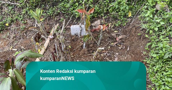 Ziarah ke Makam Raya, Bocah di Sukabumi yang Meninggal dengan Tubuh Penuh Cacing