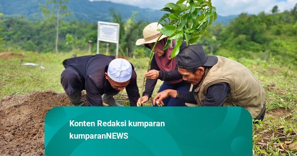 Telkom Dorong Pelestarian Hayati Lewat Penanaman Bibit Pohon di Berbagai Daerah