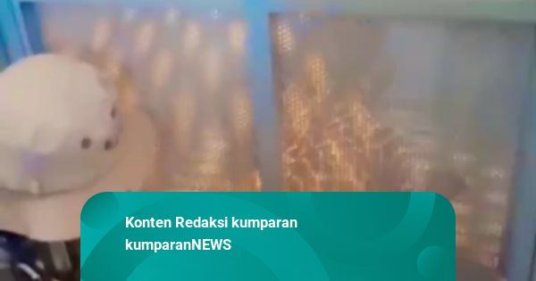 3 Tim Dikerahkan Cari Macan Tutul yang Kabur dari Lembang Zoo