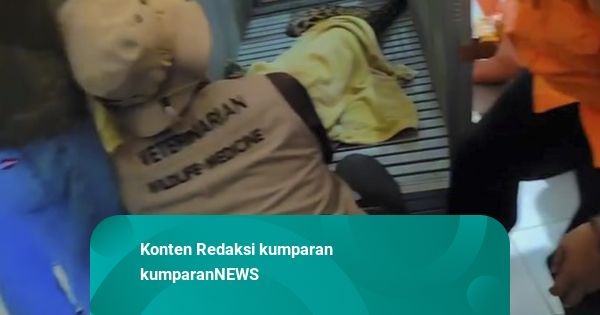 BPBD Kuningan Evakuasi Macan Tutul Nyasar di Kantor Desa