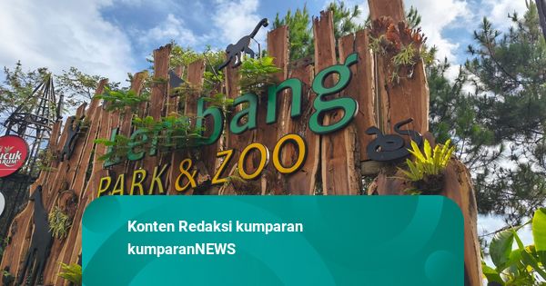 Lembang Park Zoo Ditutup Sementara Imbas Macan Tutul Lepas