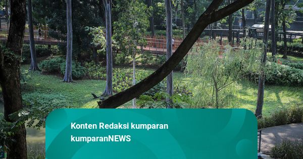 Pungli Foto di Tebet Eco Park: Pram Minta Ditertibkan, Distamhut Pastikan Gratis