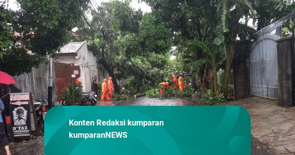 Hujan dan Angin Kencang Landa Jakarta: 7 Pohon Tumbang, Timpa Atap Rumah