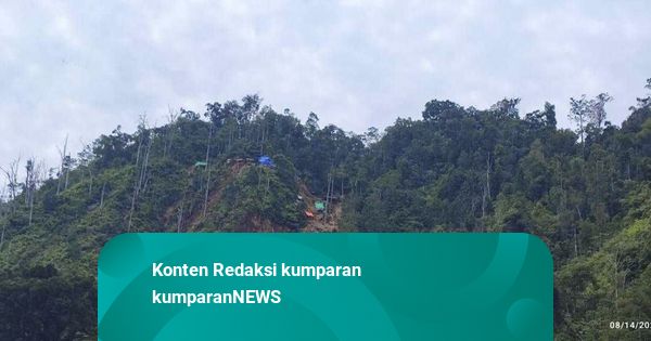 Berantas Tambang Ilegal, Negara Berhasil Amankan 70.000 Ton Batu Bara di Kaltim