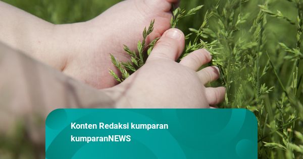 Heboh Mayat Bayi Dalam Ransel di Pinggir Sawah Karawang: Mulut Dilakban
