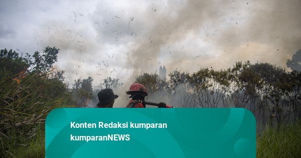 Foto: Gerak Cepat Petugas Berjibaku Padamkan Kebakaran Lahan di Ogan Ilir