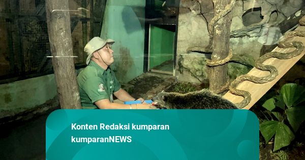Menjajal Wisata Malam di Kebun Binatang Ragunan