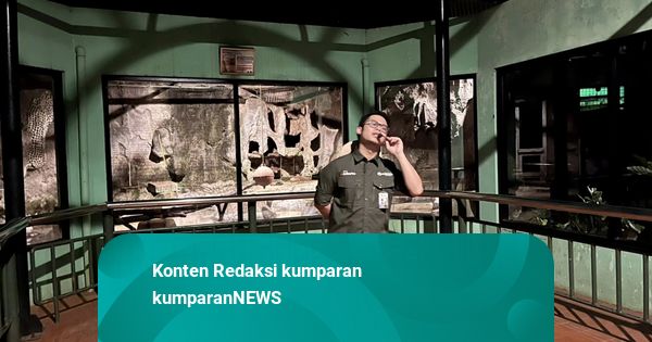 Antusiasme Warga Nikmati Wisata Malam di Kebun Binatang Ragunan