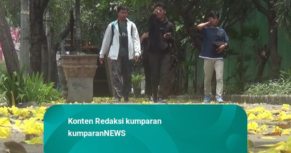 Musim Bunga Tabebuya di Bekasi, Keindahan di Tengah Teriknya Kemarau