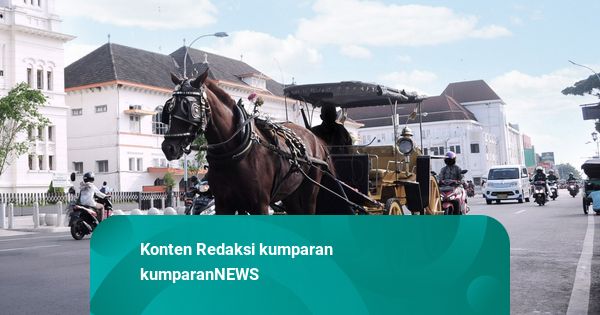 Kuda Andong di Sleman Terkapar di Jalan, Ternyata Tersandung Kaki Sendiri