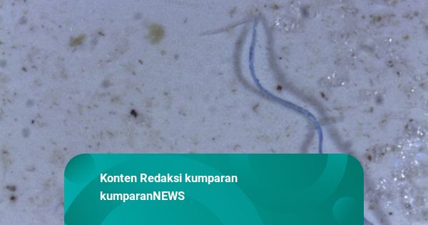 Sejumlah Langkah Hadapi Risiko Polusi Mikroplastik