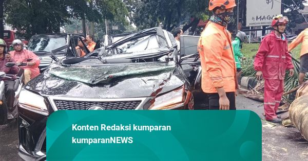 Pengemudi Mobil Lexus yang Tertimpa Pohon Tumbang di Pondok Indah Tewas