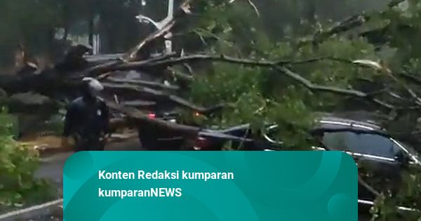 Pohon Tumbang Timpa Beberapa Mobil di Dharmawangsa, Jaksel
