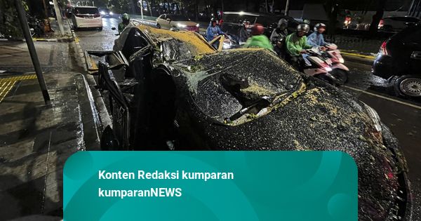 Lurah Pulo Ungkap Identitas Korban Tewas Akibat Pohon Tumbang di Dharmawangsa