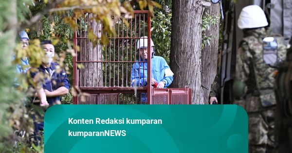 Polisi Jepang Kini Diizinkan Pakai Senapan untuk Tangani Serangan Beruang