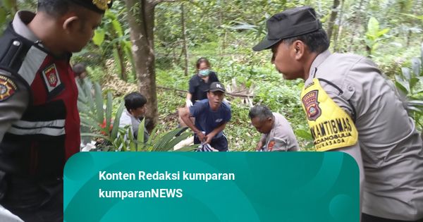 Kecelakaan Maut di Bali Tewaskan 5 Turis China, Sopir Minibus Ditahan