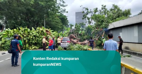 Sempat Terdampak Pohon Tumbang, MRT Lebak Bulus-Bundaran HI Kembali Normal