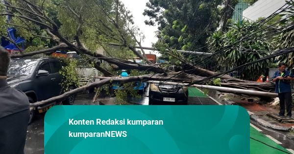 Pohon Tumbang di Cawang Jaktim Timpa Tiang Listrik dan 3 Mobil, Tak Ada Korban