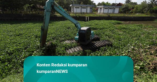 Foto: Mengintip Pembersihan Eceng Gondok di Kawasan Setu Babakan