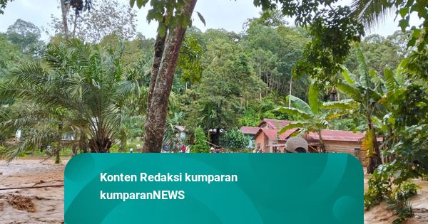 Korban Banjir-Longsor di Sumut: 43 Warga Meninggal, 81 Luka, dan 88 Masih Hilang