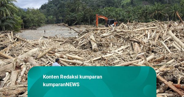 BNPB soal Kayu Gelondongan Terbawa Banjir: Di Tapsel, Buat 2 Desa Rusak Berat