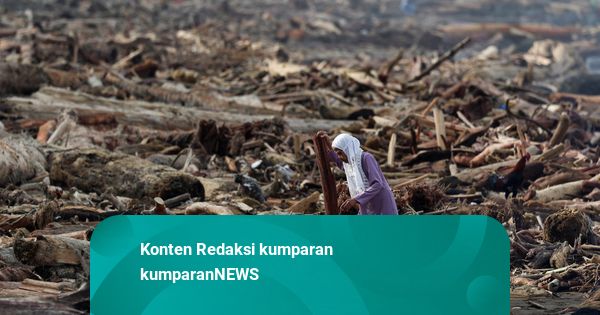 Ramai-Ramai Soroti Kondisi Lingkungan usai Kayu Gelondongan di Banjir Sumatera