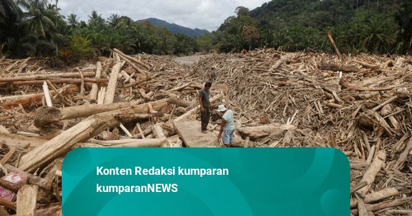 Titiek Jengkel Pohon di Sumatera Terus Ditebang: Saya Sedih, Ngenes