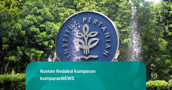 Viral Grup Chat Dugaan Pelecehan Seksual Mahasiswa IPB, Kampus Kecam-Investigasi