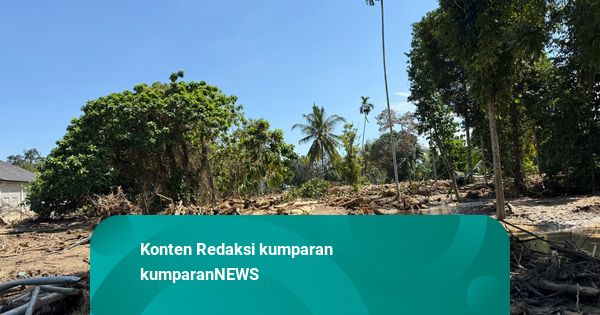 Wamen Komdigi Keluar Masuk Wilayah Bencana Aceh, Pulihkan Jalur Komunikasi