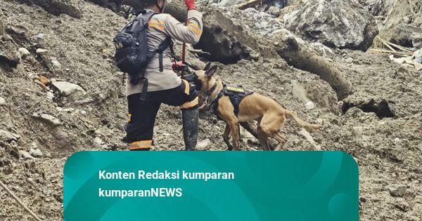 Foto: Anjing K-9 Berjibaku Cari Korban Bencana di Sumatera Barat
