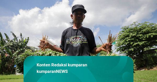 Prabowo Minta Swasembada Pangan Provinsi: Harus Ada Lumbung Desa