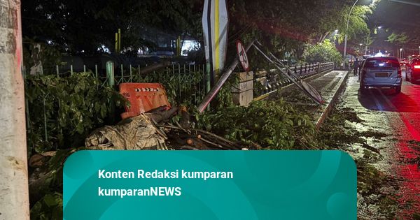 Jakarta Diterjang Hujan Lebat dan Angin Kencang Sore Tadi, 13 Pohon Tumbang