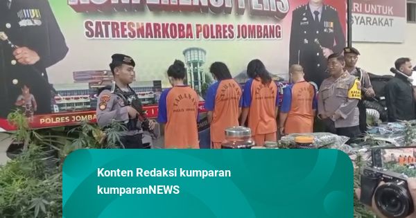 Otak Penanam Ganja di Rumah di Jombang Ditangkap: Pasutri, Mau Ubah UU Narkoba