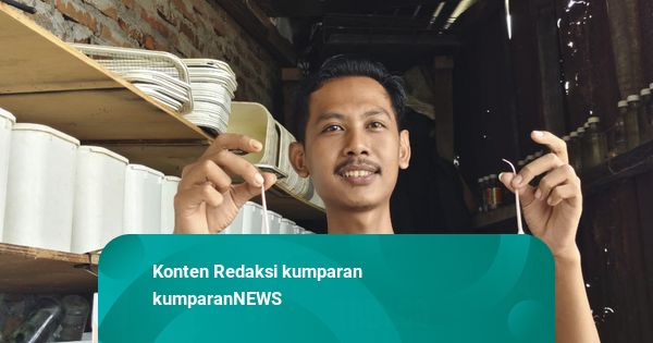 Kisah Imam di Yogya Sukses Ternak Tikus, Awalnya Bikin Heran Tetangga