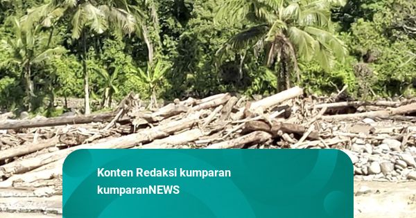 Tito Sebut Warga Bisa Pakai Kayu Terbawa Banjir Sumatera: Jangan Dijual
