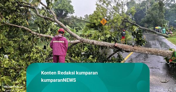 Hujan dan Angin Kencang di Sleman: Pohon Tumbang hingga Gazebo Roboh