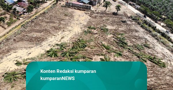 Menteri LH Ungkap 4,9 Juta Hektar Area di Aceh Terdampak Banjir-Longsor