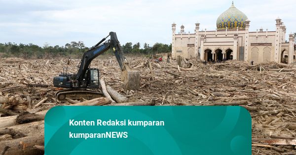 Menhut Sebut Kayu Bekas Bencana Bisa Dipakai Bangun Rumah: Jangan Dikomersilkan